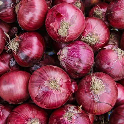 Super Onion Nashik